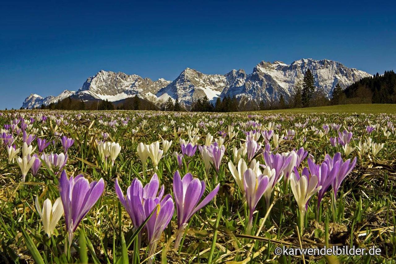 Ferienhotel Barmsee Krun Bagian luar foto